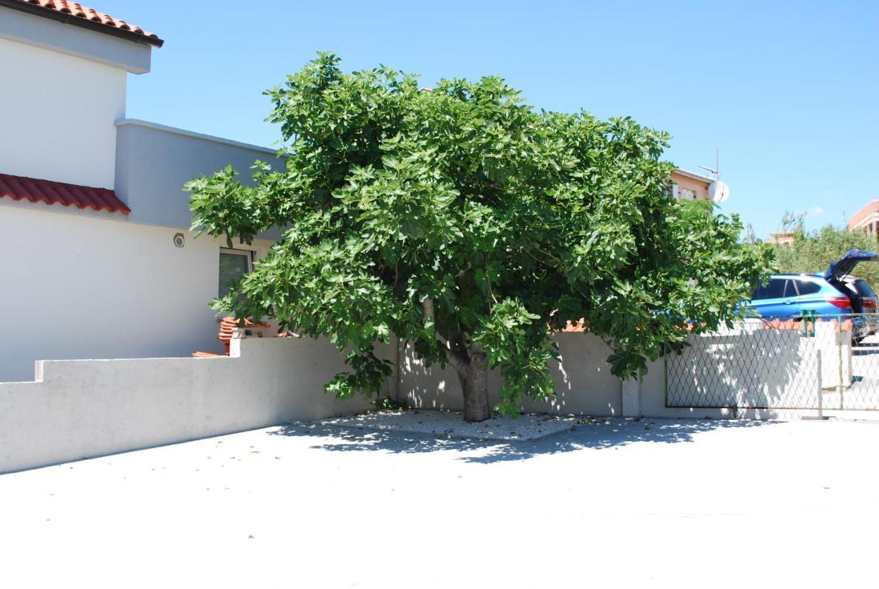 Villa Sabina - Apartments Kroatien Ražanac Eksteriør bilde