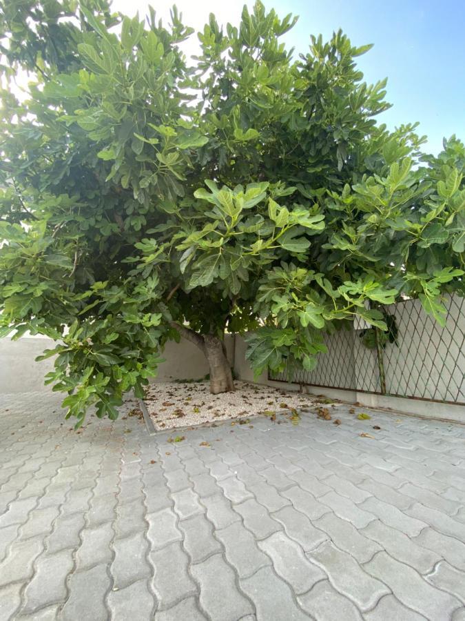 Villa Sabina - Apartments Kroatien Ražanac Eksteriør bilde