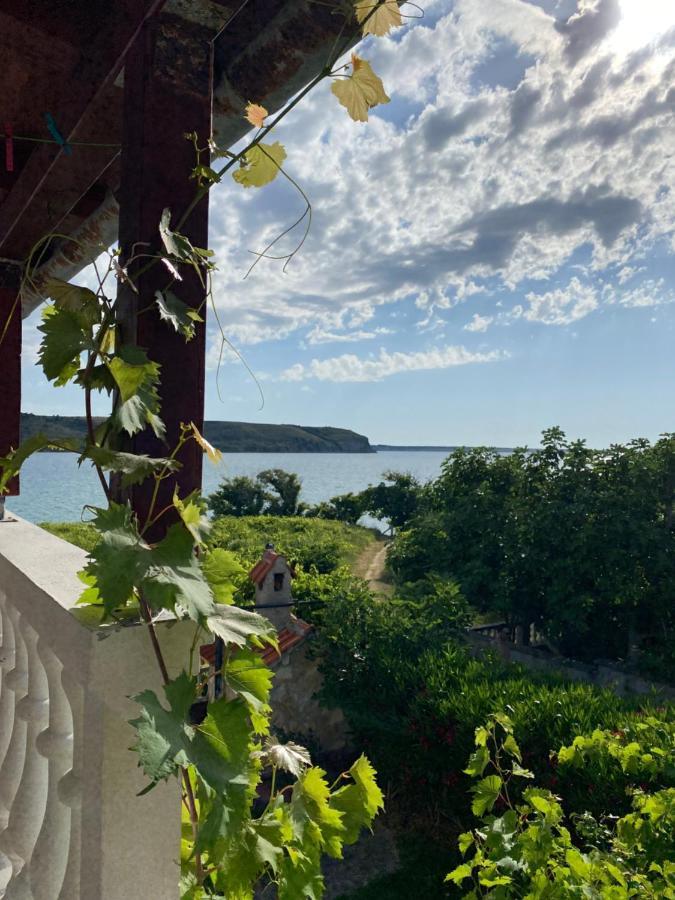 Villa Sabina - Apartments Kroatien Ražanac Eksteriør bilde